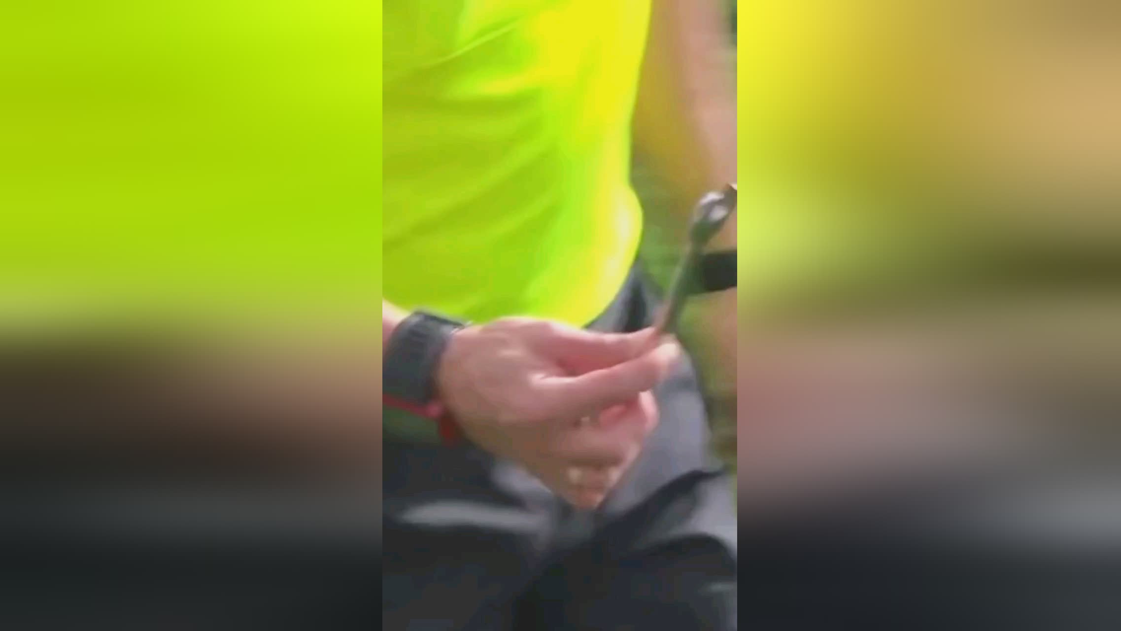 了非凡的