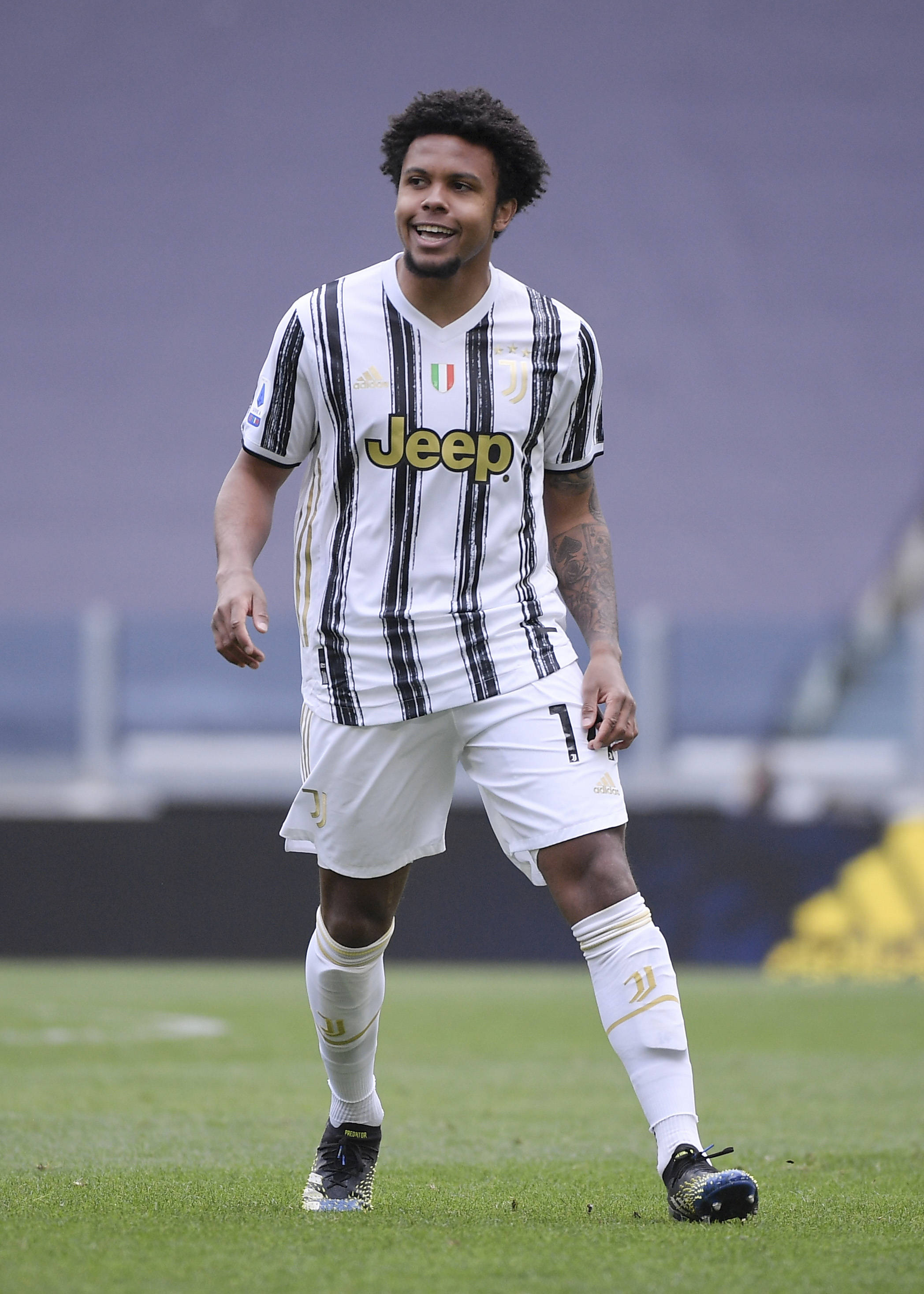 索引擎优化 索引擎优化